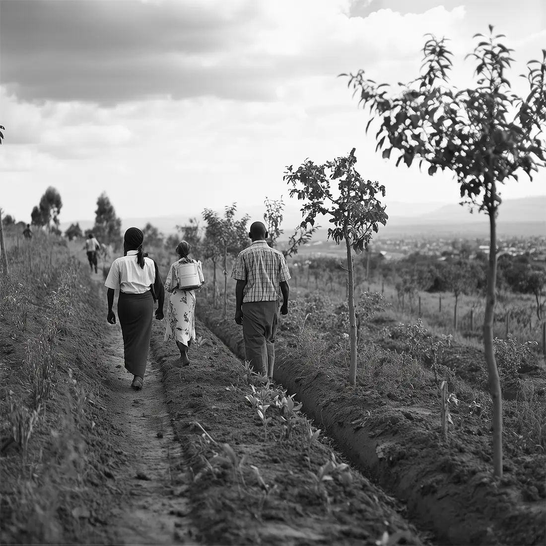 tree nursery managers waking along a path next to trees